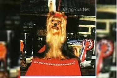 VALENTIN DE LA PAM'POMMERAIE